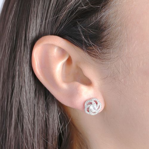 AROS KORIUM CAIMILLE